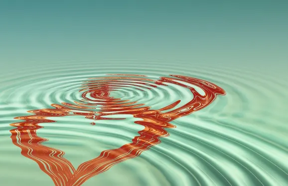 Rajbet Kaszinó Támogatás